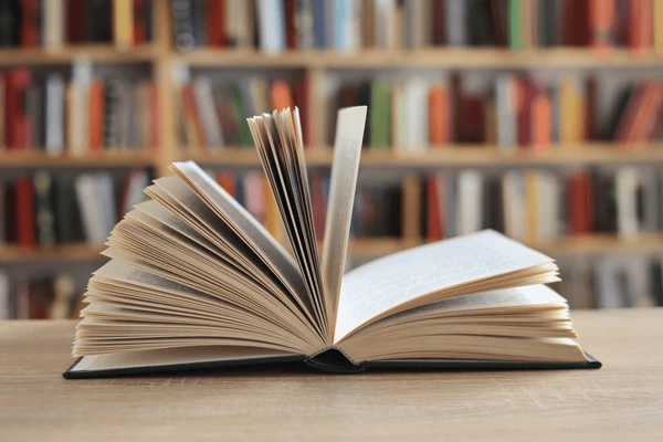 Seabright-Based Mystery Author Shortlisted for 2026 Toby Award