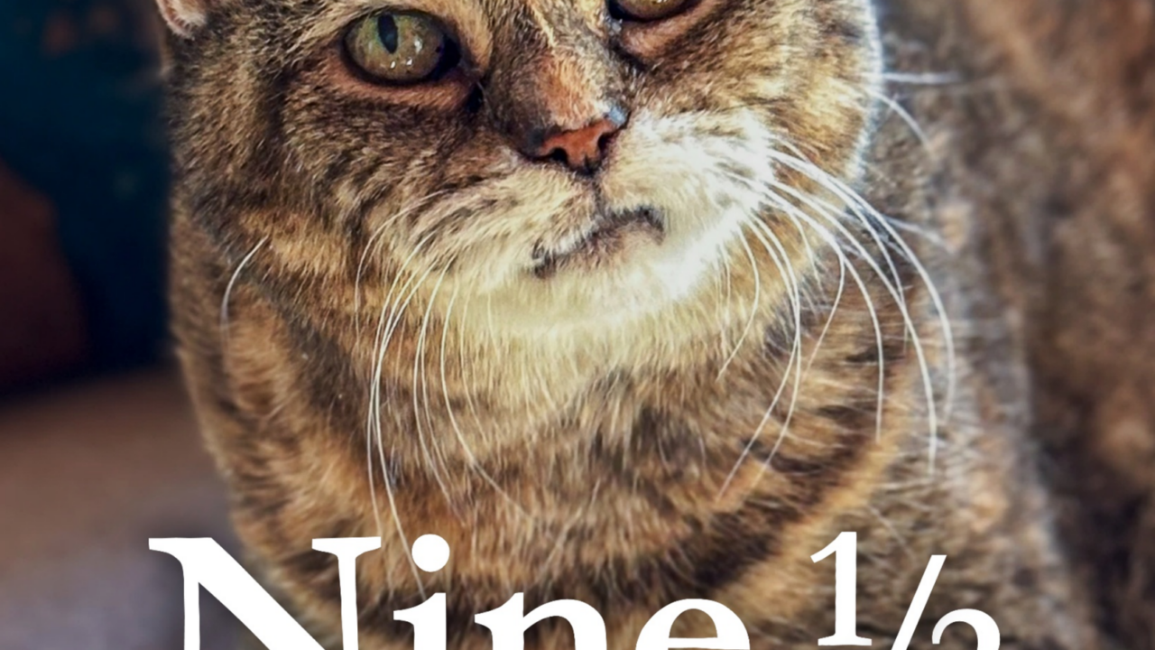 Nine ½ Lives