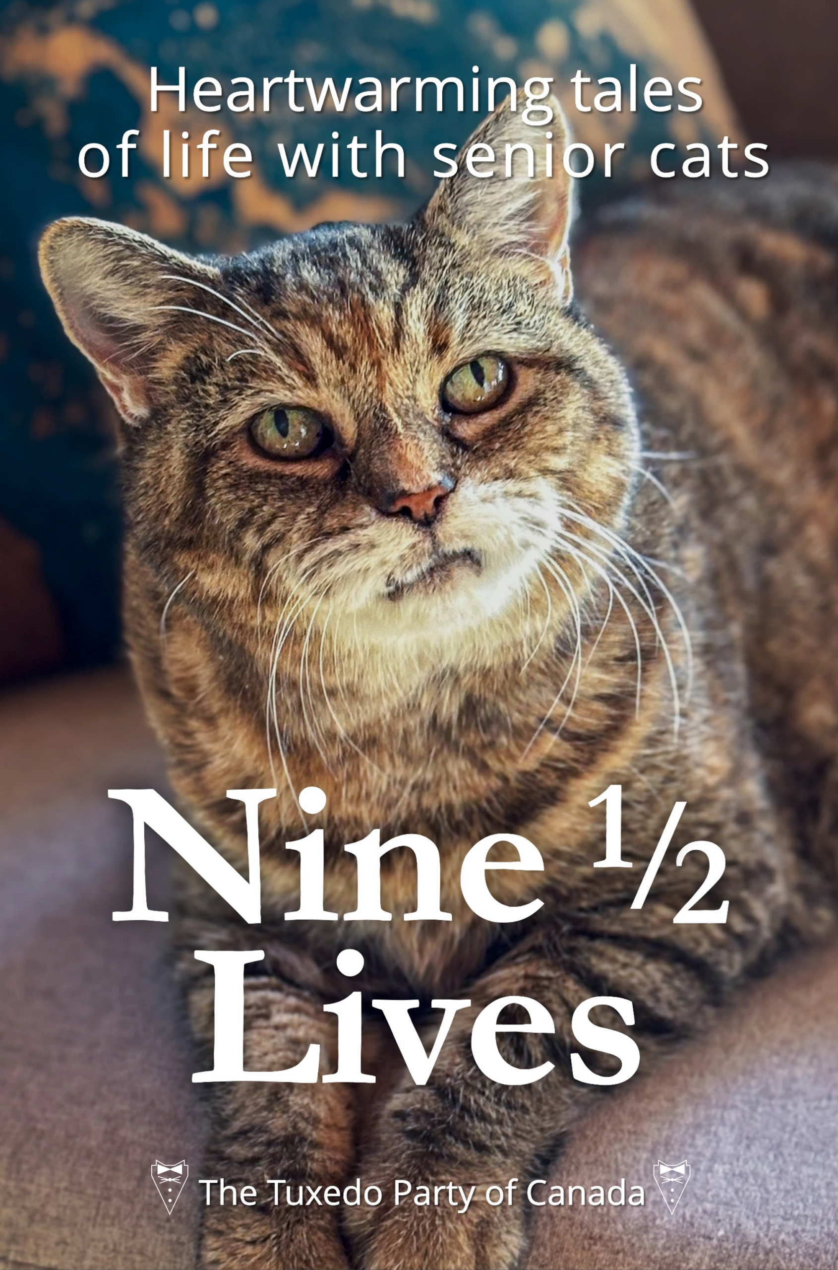 Nine + Lives book cover