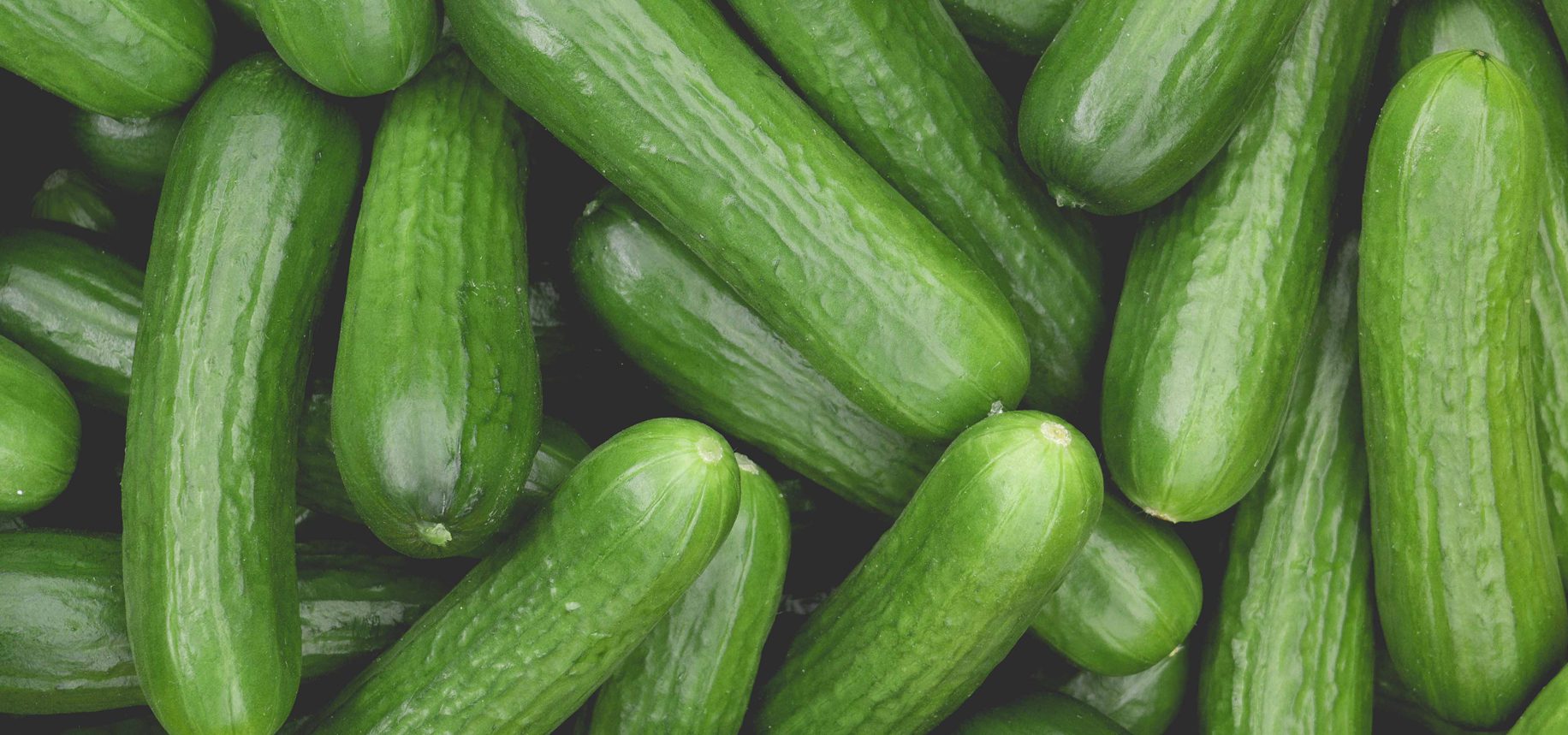 Mini_Cucumber_Banner